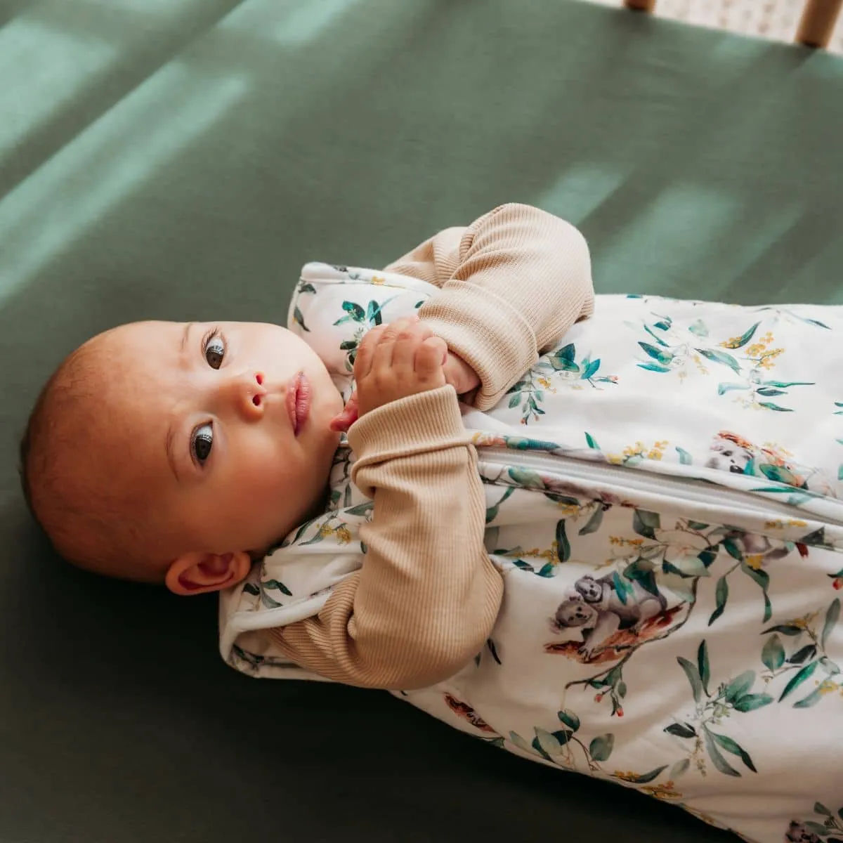 Snuggle Hunny Organic Jersey Sleeping Bag 2.5 TOG - Eucalypt